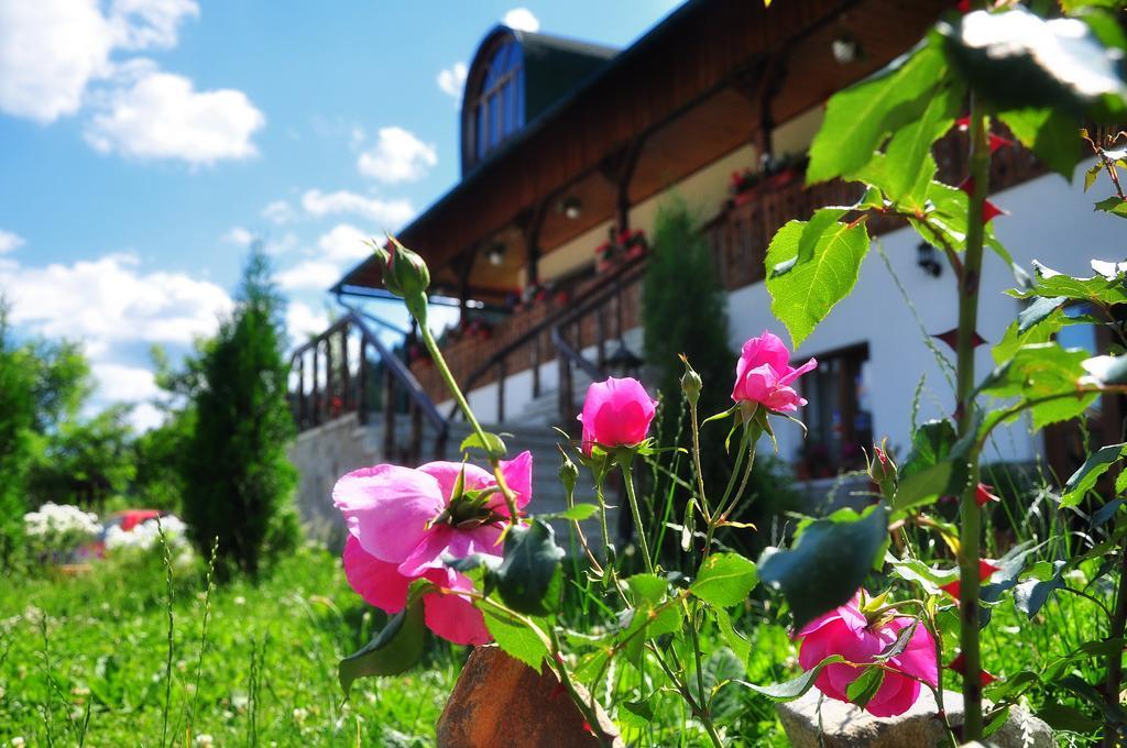 Hotel Conacul Domnitei Woronetz Exterior foto
