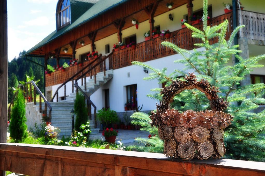 Hotel Conacul Domnitei Woronetz Exterior foto